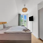 Haus Am Seeufer Mit Badestelle In 200m, Grosse Sonnenterrasse, Umzaeunter Garten, Hunde Willkommen Апартаменты Райнсберг