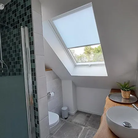 Haus Am Seeufer Mit Badestelle In 200m, Grosse Sonnenterrasse, Umzaeunter Garten, Hunde Willkommen * Rheinsberg