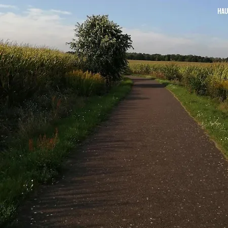 Haus Am Seeufer Mit Badestelle In 200m, Grosse Sonnenterrasse, Umzaeunter Garten, Hunde Willkommen Appartement *