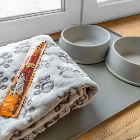 Haus Am Seeufer Mit Badestelle In 200m, Grosse Sonnenterrasse, Umzaeunter Garten, Hunde Willkommen Appartement Rheinsberg